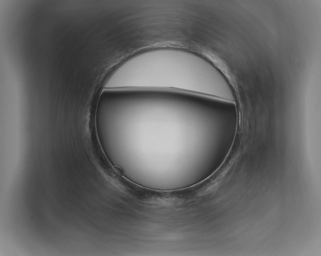 X0000112030201200908031029