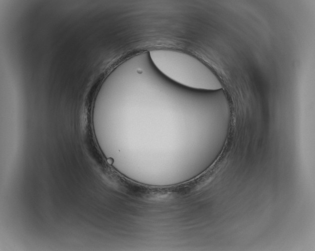 X0000112030206200908031029