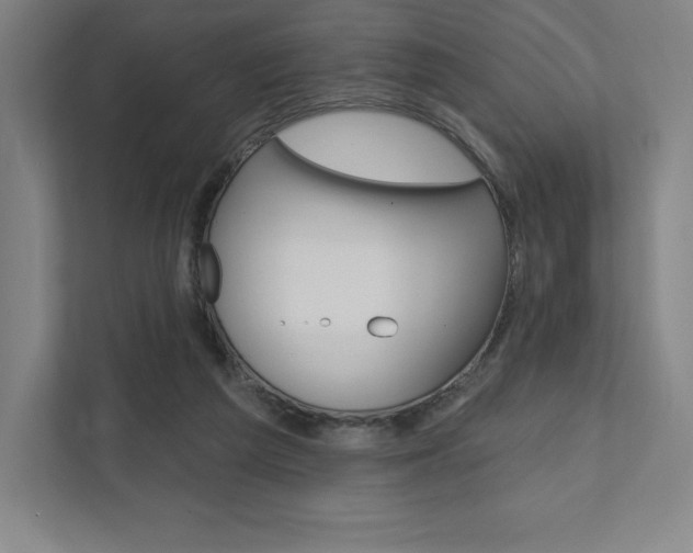 X0000112030209200908031029