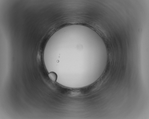 X0000112030214200908031029