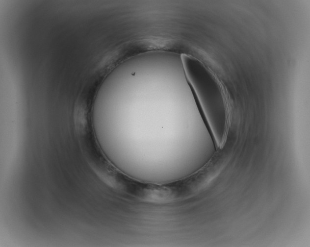 X0000112030215200908031029