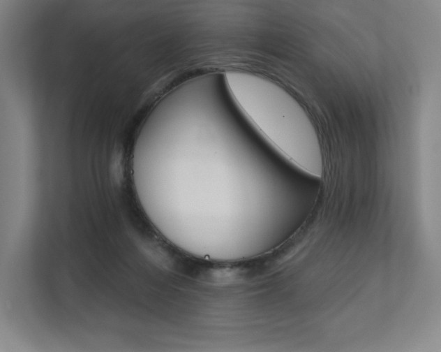 X0000112030216200908031029