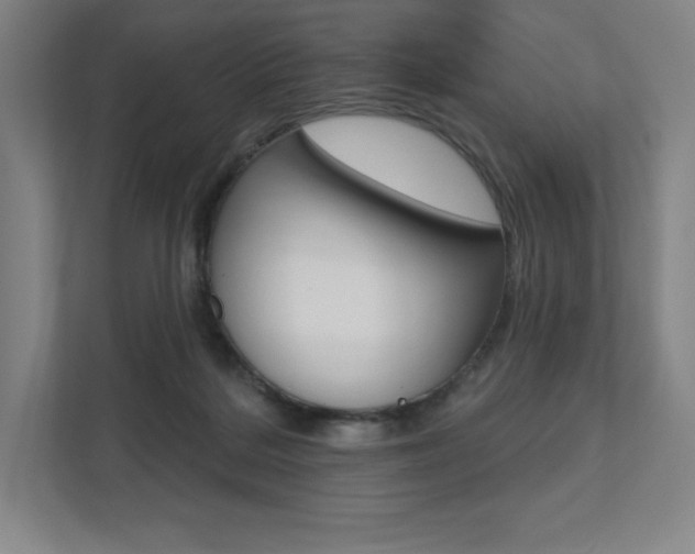 X0000112030220200908031028