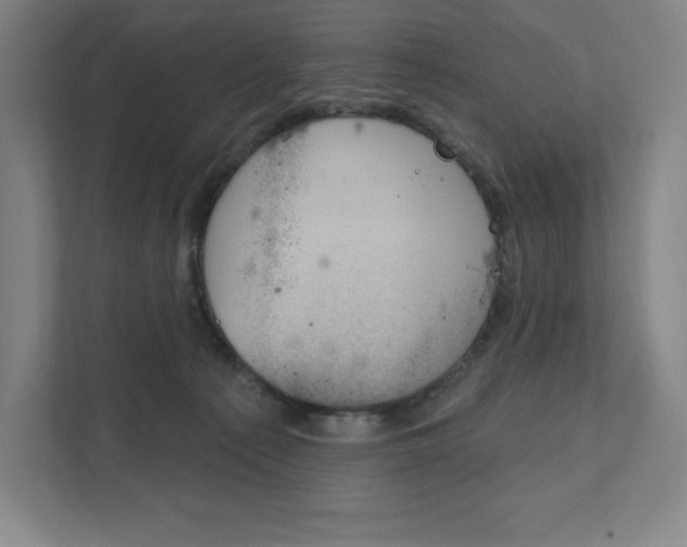 X0000112030225200908031028