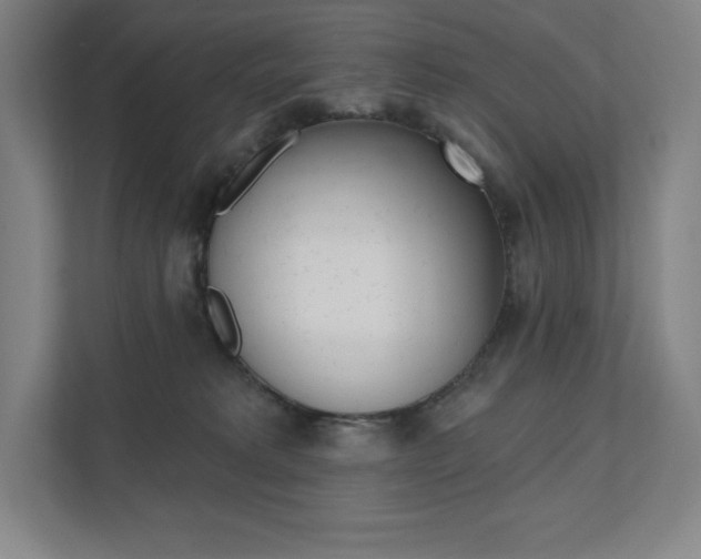 X0000112030229200908031028