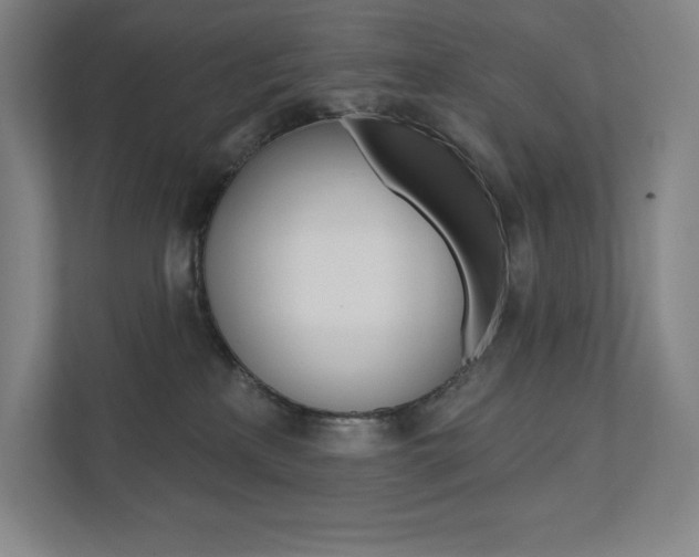 X0000112030233200908031028