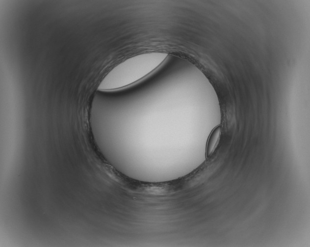 X0000112030236200908031028