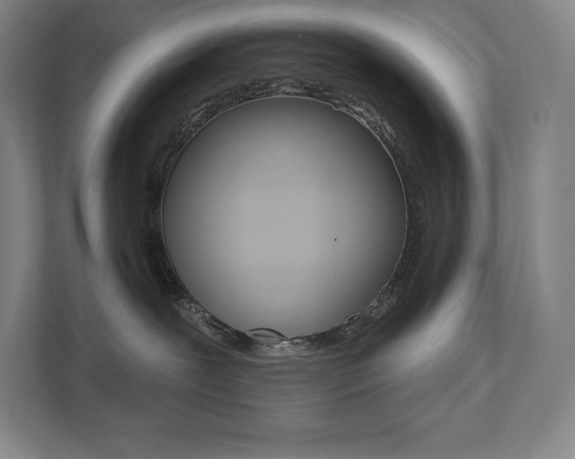 X0000112030239200908031028