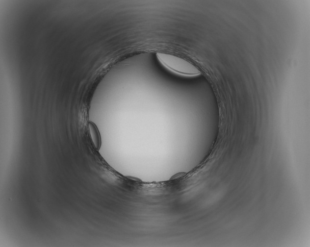X0000112030240200908031028