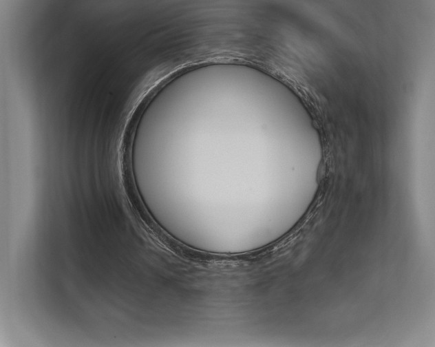 X0000112030242200908031028