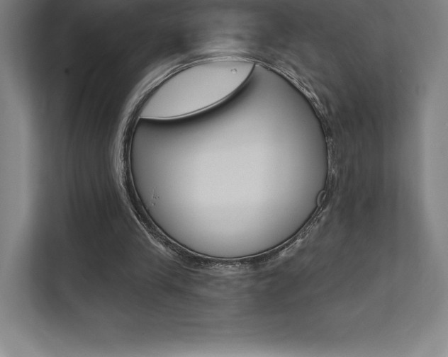 X0000112030245200908031028