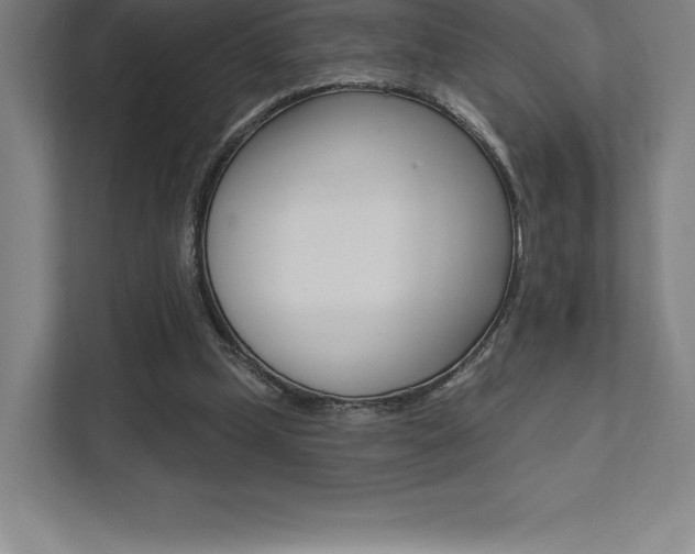X0000112030249200908031028