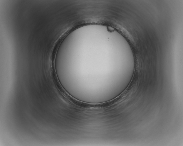 X0000112030251200908031028