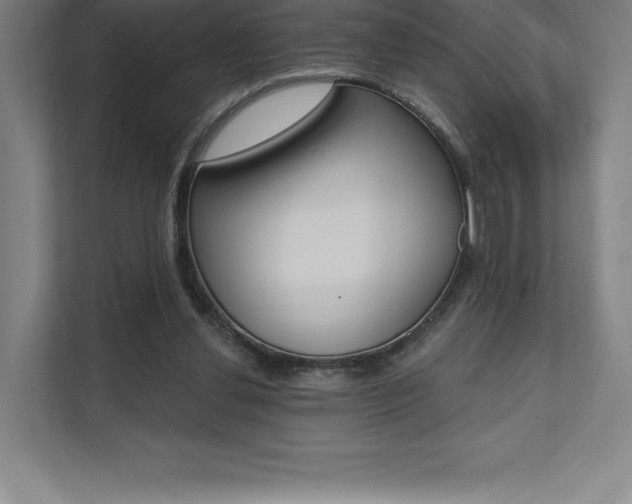 X0000112030252200908031028