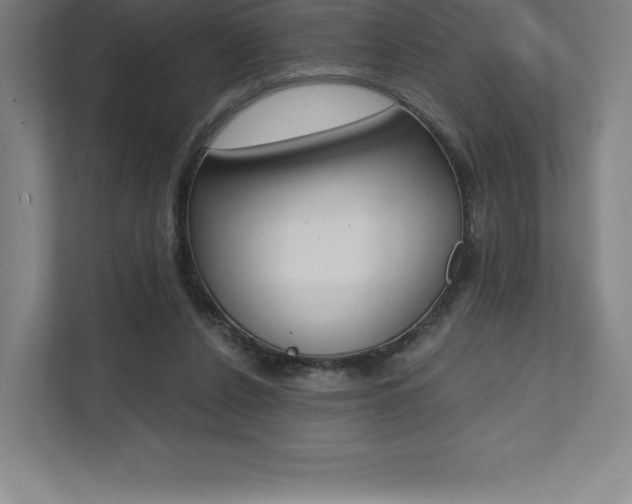 X0000112030256200908031028