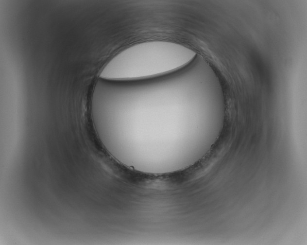 X0000112030259200908031028