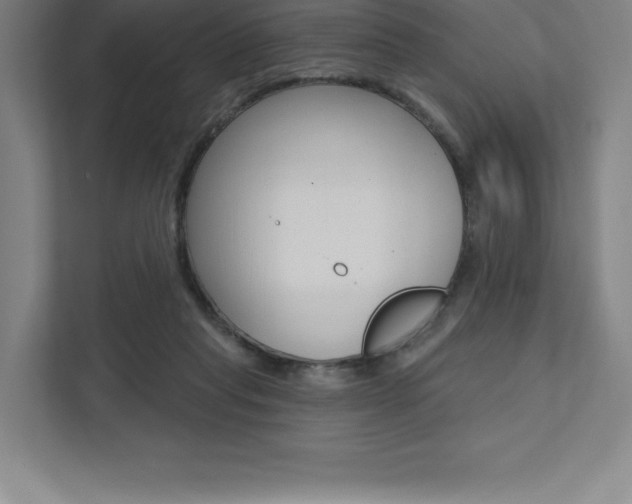 X0000112030261200908031028