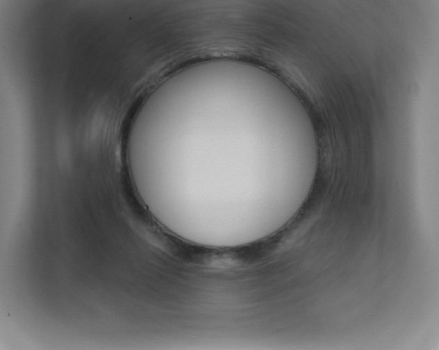 X0000112030262200908031028
