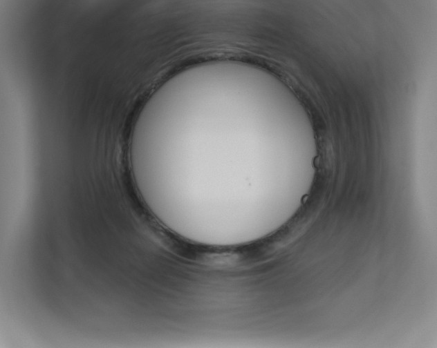 X0000112030266200908031028