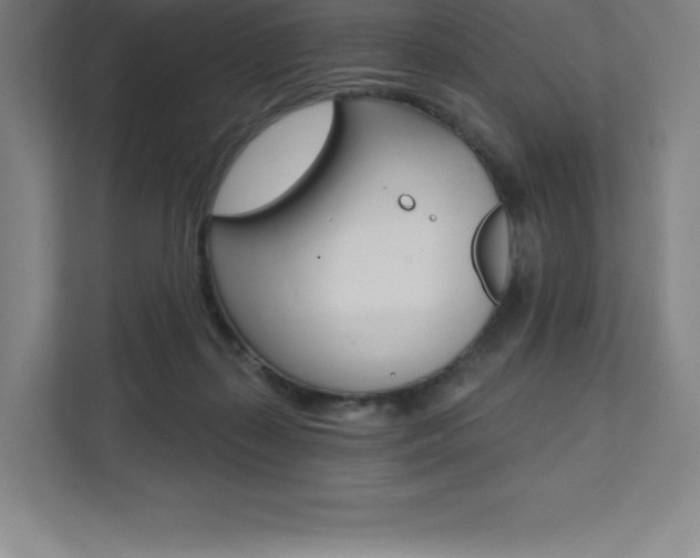 X0000112030267200908031028