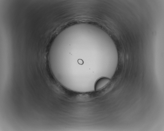 X0000112030271200908031028