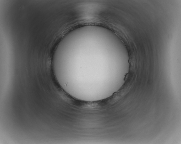 X0000112030278200908031028