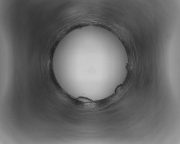X0000112030279200908031028