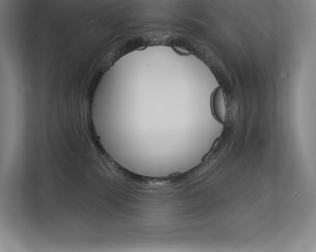 X0000112030283200908031028