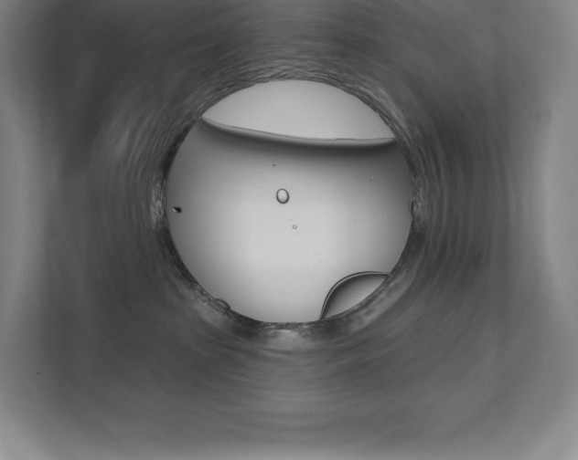 X0000112030285200908031028