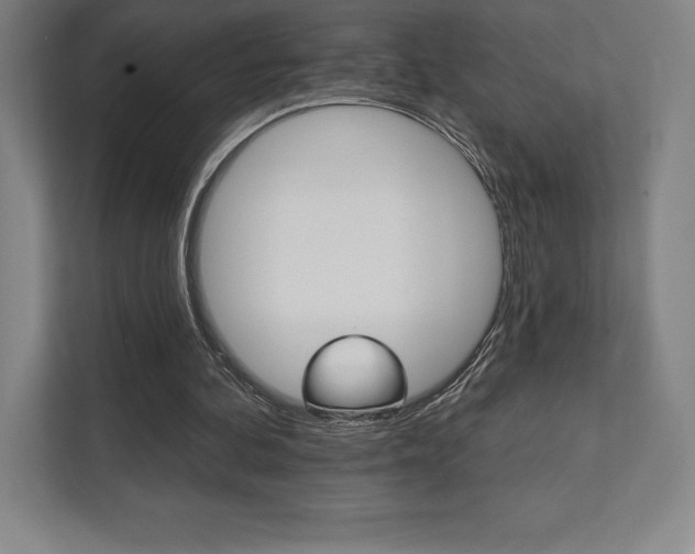 X0000112030292200908031028
