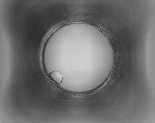 X0000112030293200908031028