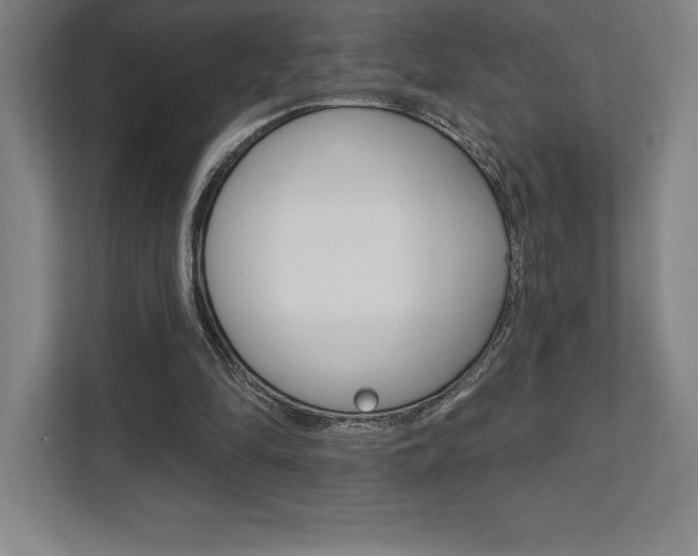 X0000112030294200908031028