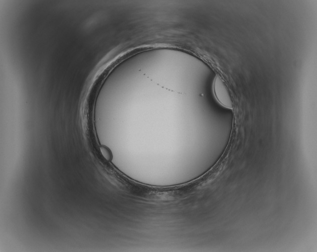 X0000112030295200908031028