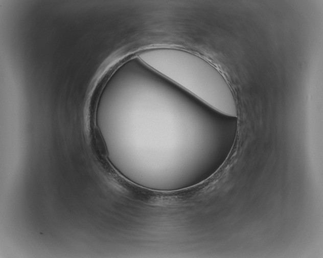 X0000112030296200908031028