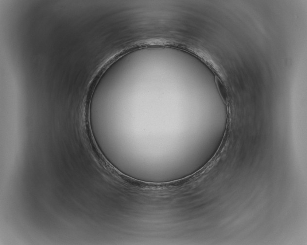 X0000112030297200908031027