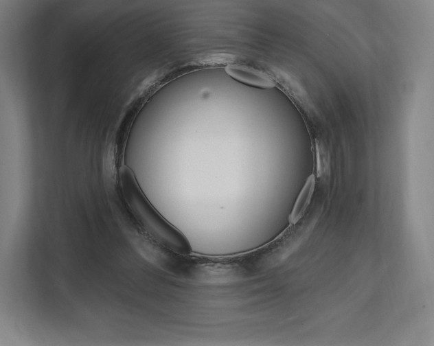 X0000112030300200908031027