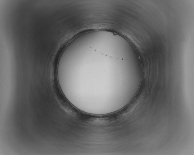 X0000112030303200908031027