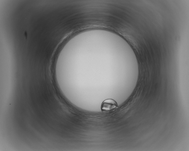 X0000112030304200908031027