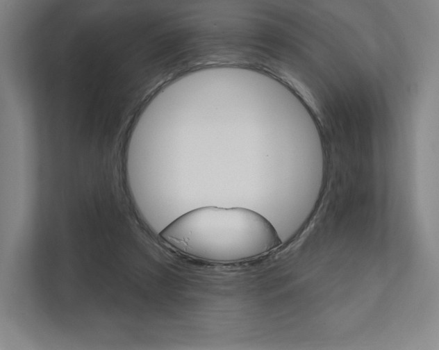 X0000112030305200908031027