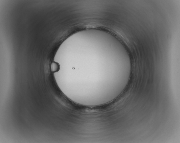 X0000112030311200908031027