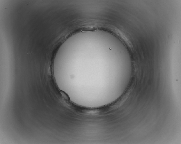 X0000112030313200908031027
