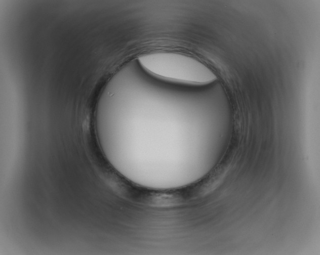 X0000112030315200908031027