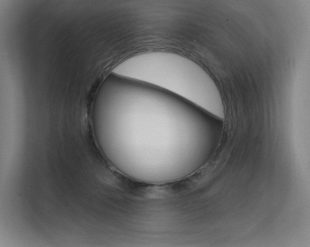 X0000112030320200908031027