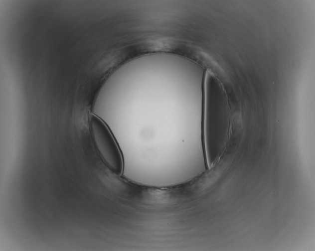 X0000112030325200908031027