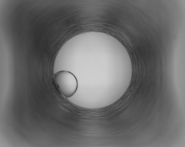 X0000112030328200908031027