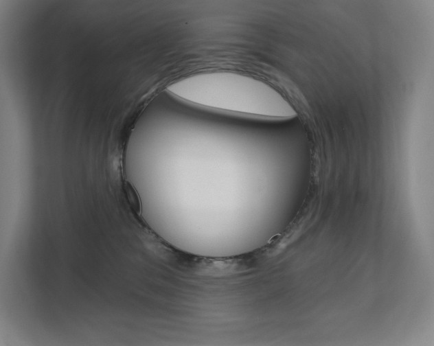 X0000112030329200908031027