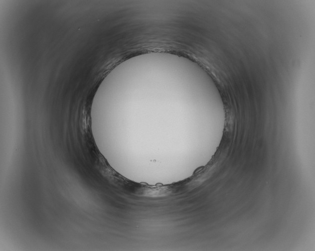 X0000112030334200908031027