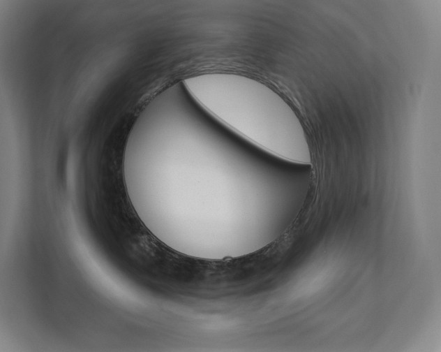 X0000112030335200908031027