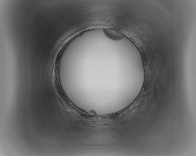 X0000112030338200908031026