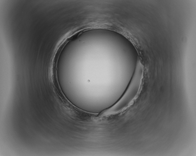 X0000112030340200908031026